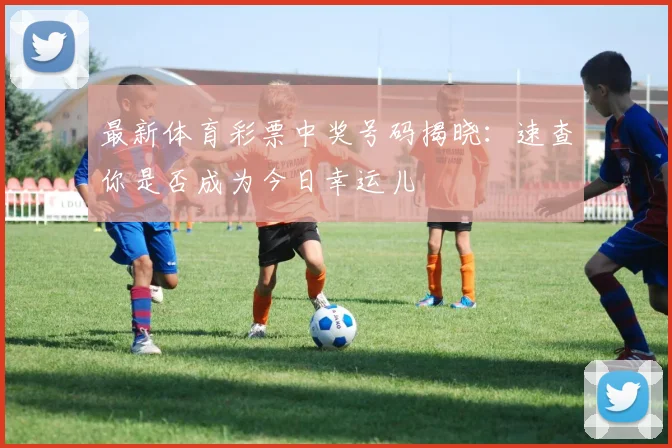 最新体育彩票中奖号码揭晓:速查你是否成为今日幸运儿