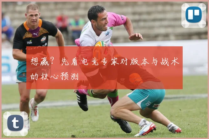 想赢?先看电竞专家对版本与战术的核心预测