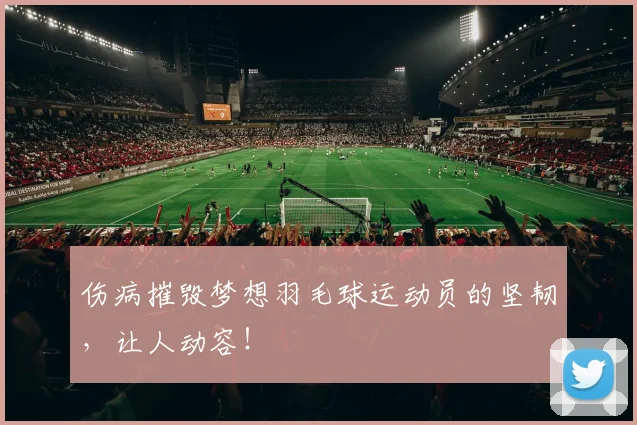 伤病摧毁梦想羽毛球运动员的坚韧,让人动容!