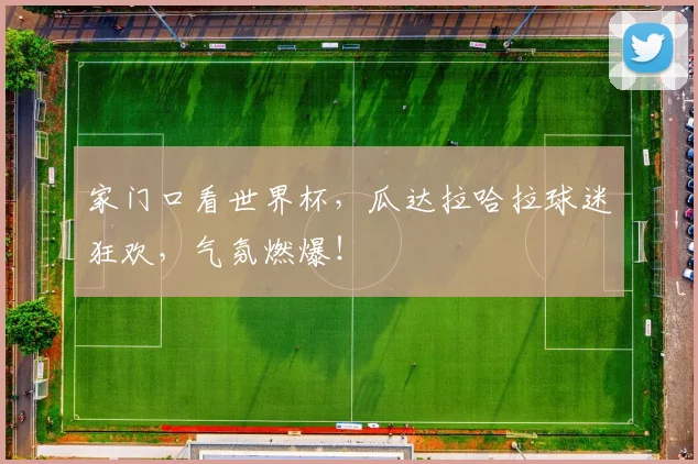 家门口看世界杯，瓜达拉哈拉球迷狂欢，气氛燃爆！