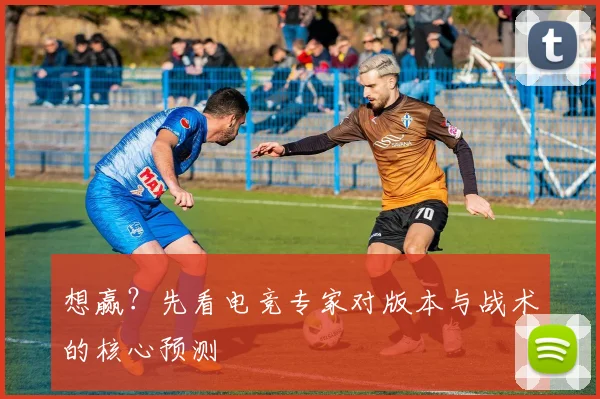 想赢？先看电竞专家对版本与战术的核心预测