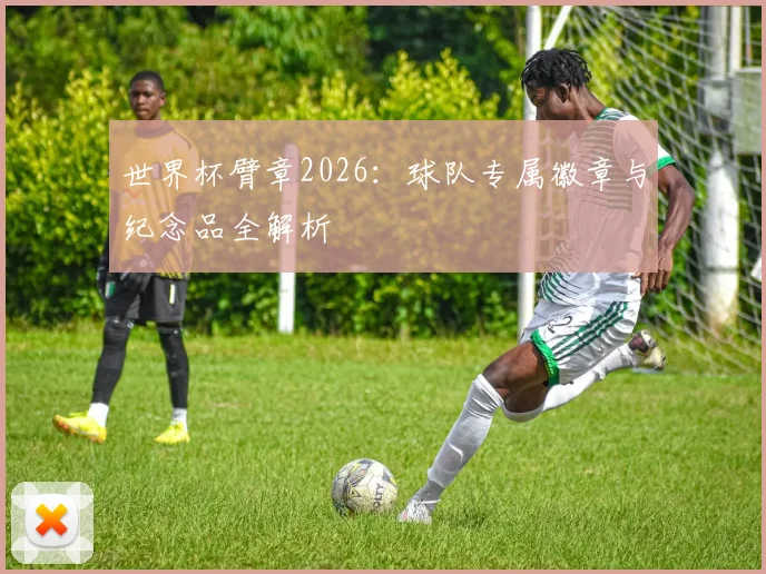 世界杯臂章2026：球队专属徽章与纪念品全解析